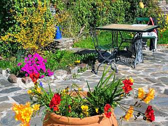Photo of a corner of the terrace in the garden with flowers